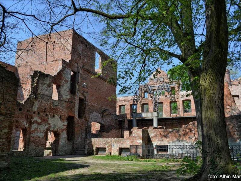 Zamek i Pałac w Żmigrodzie